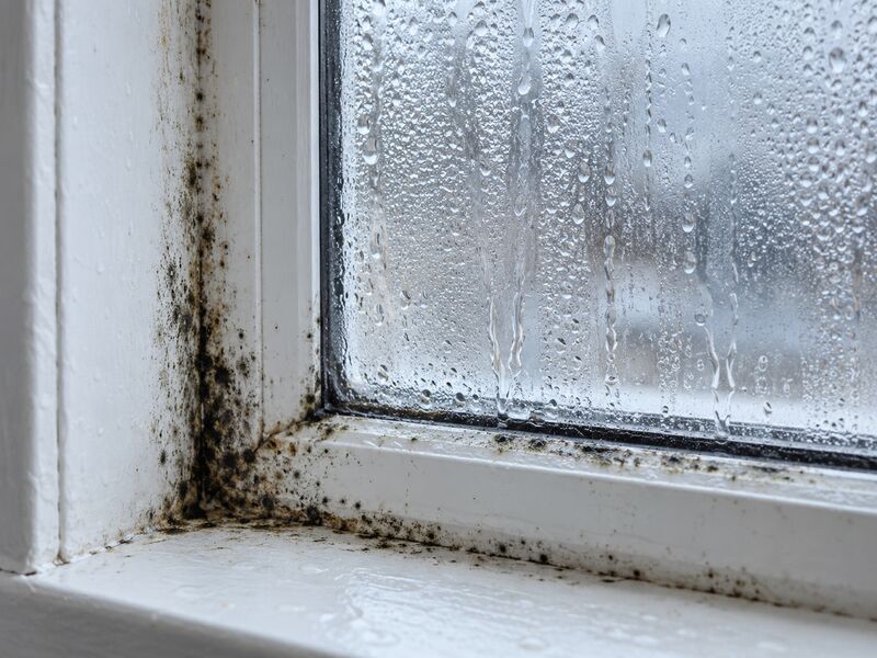 Condensation on a window pane with black mold in the frame corners