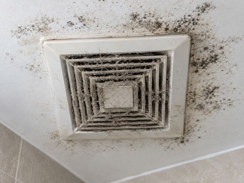 A clogged bathroom extractor grille with mold spreading around it