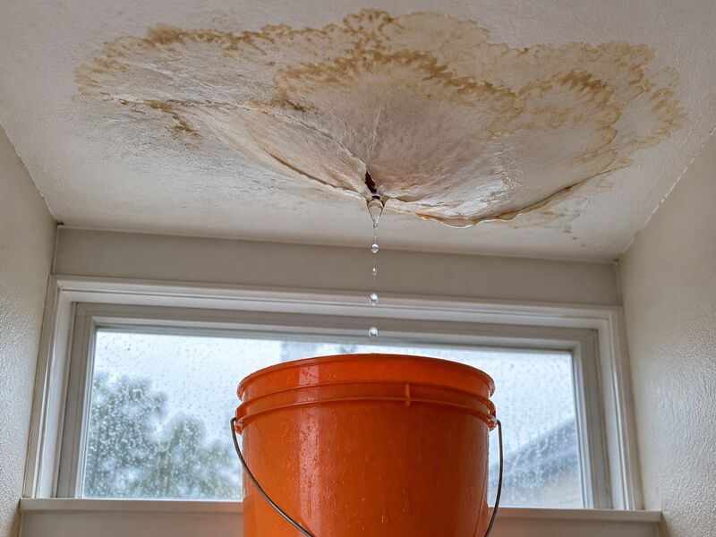 A ceiling stained brown and sagging, dripping into a bucket